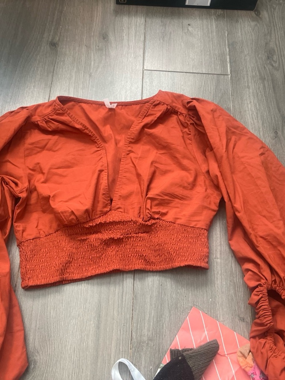 Truth NYC Rust Orange Long Sleeve Smocked Crop Top